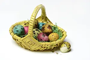 Coloured Quail Eggs Prints: Coloured quail eggs in baskets