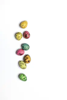Coloured Quail Eggs Prints: Coloured quail eggs, Easter eggs, Germany