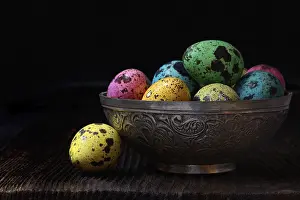 Coloured Quail Eggs Prints: Coloured quail eggs in shell, Easter eggs, Germany