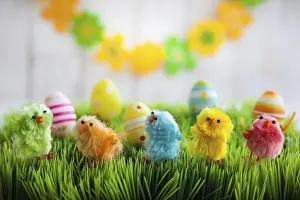 Juvenile Bird Photography Prints: Colourful easter chicks on the green grass