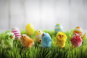 Young Animals Prints: Colourful easter chicks on the green grass