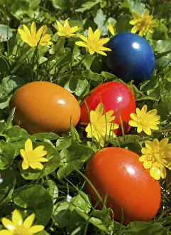 Flower Meadow Scene Prints: Colourful Easter eggs lying in a flower meadow