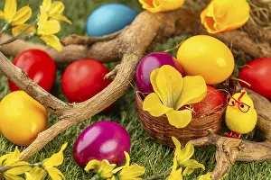 Springtime Wildlife Images Prints: Colourful Easter eggs in and around a small basket