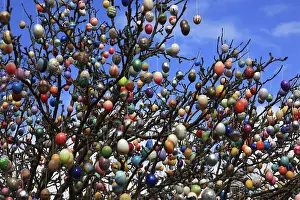 Christian Holiday Celebration Prints: Many colourful Easter eggs on a tree