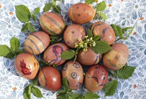 Hand Painted Easter Eggs Prints: Colourful painted Easter eggs, Germany