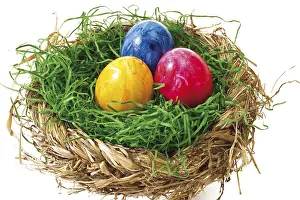 Painted Easter Eggs Prints: Colourful painted Easter eggs in a nest