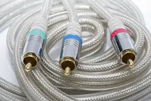 Gold Component Video Cable Prints: Component video cable with a gold covering