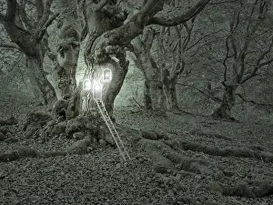 Symbolic Landscape Photography Prints: Compose: Treehouse