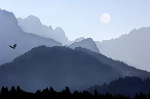 Mountain Peak Scenery Prints: COMPOSING moon eagle