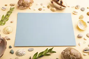 Seashell Still Life Prints: Composition with blue paper sheet