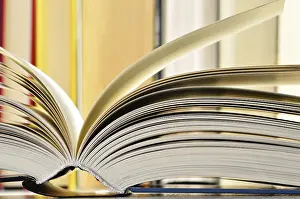 Library Composition Prints: Composition with books in the library