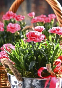 Deserted Flower Shop Prints: Composition with bouquet of carnations