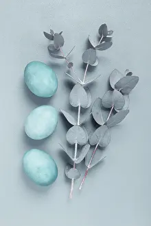 Minimalist Studio Photography Prints: Composition of eucalyptus leaves and turquoise colored eggs