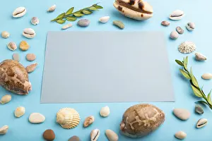 Studio Photography Concept Image Prints: Composition with gray paper sheet