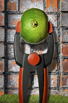 Deserted Grocery Store Prints: Composition: to squeeze the orange dry