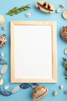 Wooden Frame Still Life Prints: Composition with wooden frame, seashells