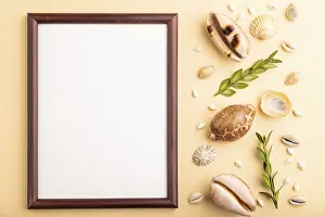 Seashell Still Life Prints: Composition with wooden frame, seashells