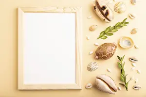 Seashell Still Life Prints: Composition with wooden frame, seashells