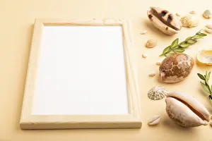 Seashell Still Life Prints: Composition with wooden frame, seashells