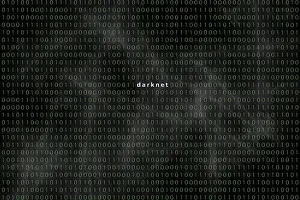 Computer Crime Scene Prints: Computer matrix with word Darknet, Germany