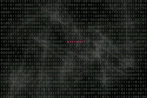 Computer Crime Prevention Prints: Computer matrix with word security
