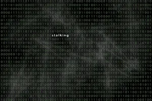 Cybercrime Germany Prints: Computer matrix with word stalking, Germany