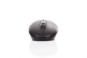 Electronic Equipment Prints: Computer mouse