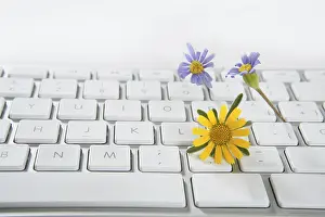 Nature Symbolism Prints: Concept of flowers growing from computer