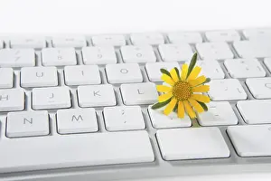 Symbolic Nature Picture Prints: Concept of flowers growing from computer