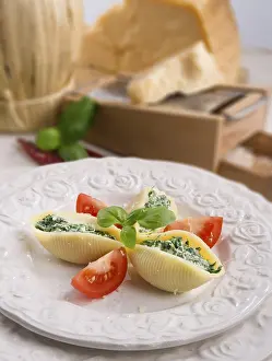 Parmesan Cheese Plate Prints: Conchiglioni
