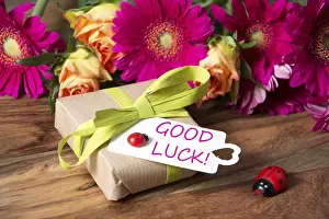 Insect Animal Habitat Prints: Congratulations