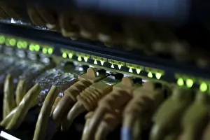 Data Transmission Online Prints: Connections of Internet cables with servers