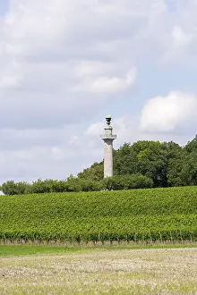 Central Europe Vineyard Scene Prints: Constitution Column, Gaibach, Field