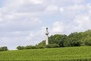 Vineyard In Lower Franconia Prints: Constitution Column, Gaibach, Vineyard