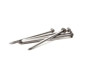 Construction Worker Tools Prints: Construction nails isolated on a white background