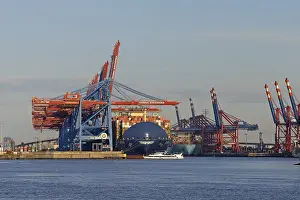 Prints of Container ships, Burchardkai and Eurogate container terminals, port, Hamburg, Germany Hamburg Prints: Container ships at Burchardkai and Eurogate container terminals, Hamburg Print