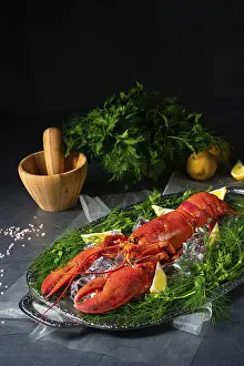 Seafood Nutrition Prints: The cooked lobster on ice