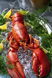 Seafood Nutrition Prints: The cooked lobster on ice