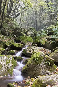 Waterfall Landscape Prints: Cool water streaming down