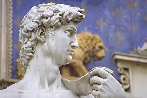 Tuscany European Art Prints: Copy of the David sculpture, detail