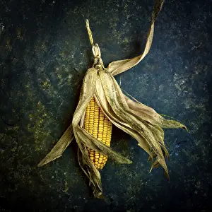 Corn On The Cob Prints: Corn on the cob