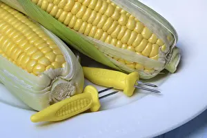 European Agriculture Images Prints: Corn corn cob and corn cob holder on plate