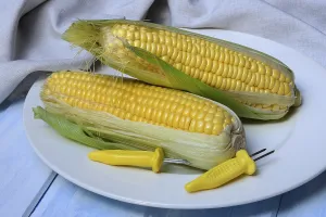 Corn Cob Photography Prints: Corn corn cob and corn cob holder on plate