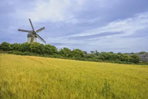 Grain Field Photography Europe Prints: Cornfield and the Great Windmill