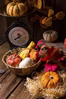 Vegetable Arrangement Prints: Cornucopia