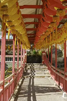 Images Dated 14th January 2024: Pattaya Corridor Red Lantern Print