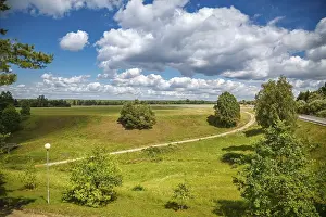 Prints of Countryside scene in Lithuania with a vast green field, scattered trees, a dirt path winding through the landscape, and a blue sky filled with fluffy white clouds Lithuania Prints: Lithuanian Countryside Landscape Print
