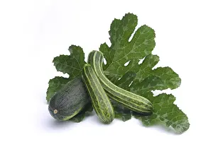 Plain Background Food Image Prints: Courgette, courgette