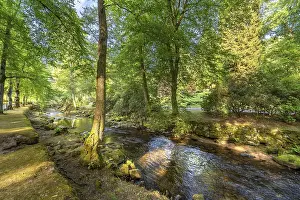 Spa Garden Germany Prints: Course of the river Enz in summer