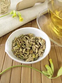 Complementary Health Remedies Prints: Cowslip tea